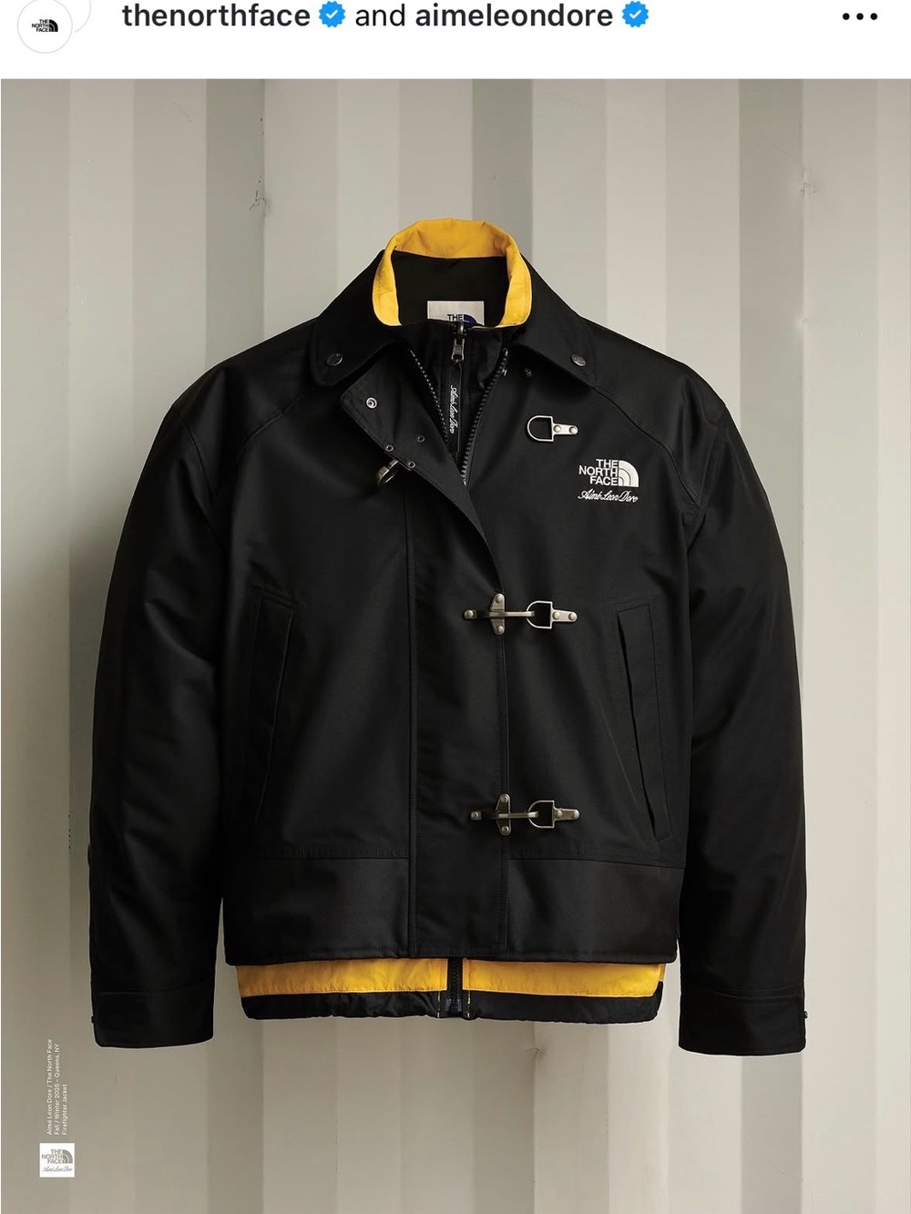 Aime Leon Dore x Tnf Jacket